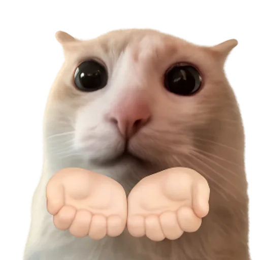 gib $CATTO