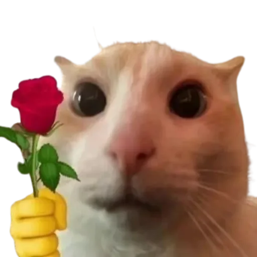 brought you a red candle