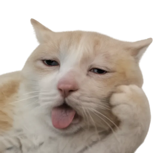wake me at 100x